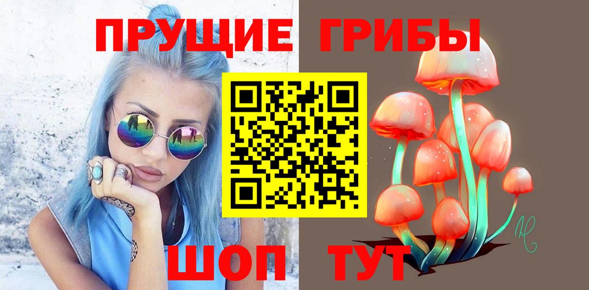 Псилоцибиновые грибы MAGIC MUSHROOMS  Вход с VPN  Коломна 